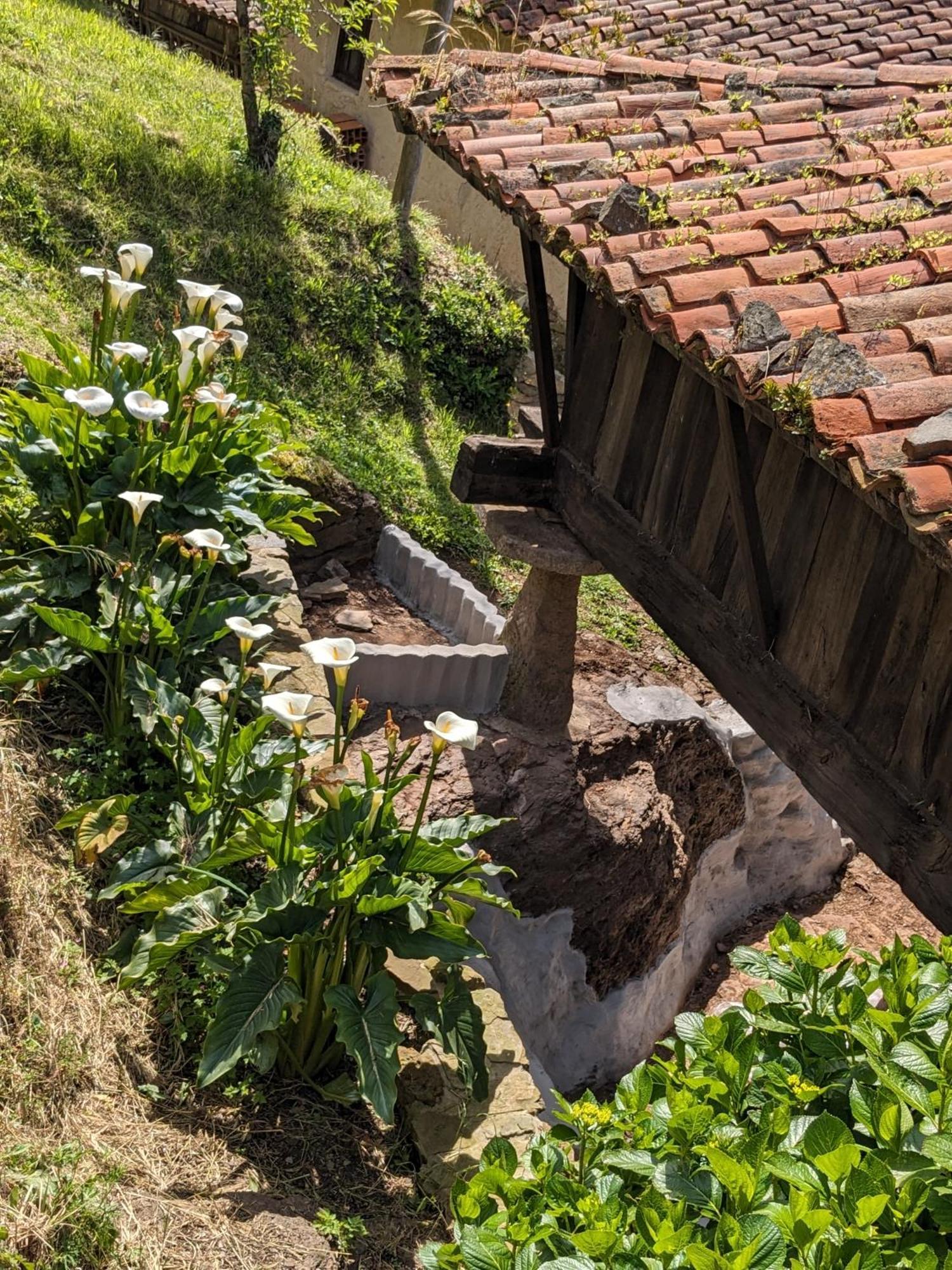 Las Casas De Isu Villaviciosa  Eksteriør billede